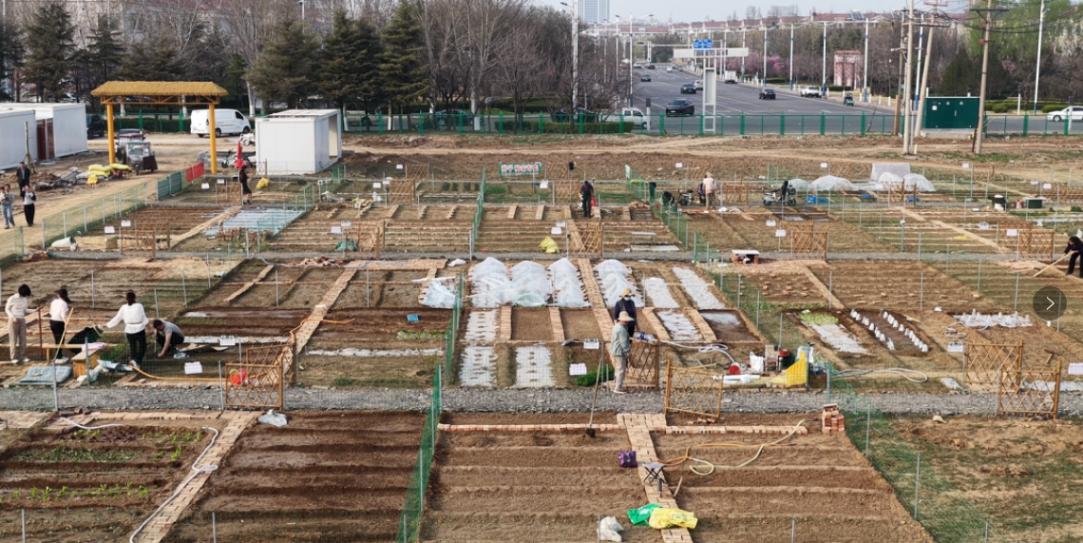 微信截图_20260423134140